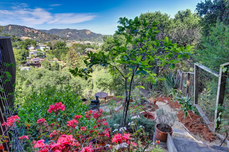 337 Clorinda  back yard fence