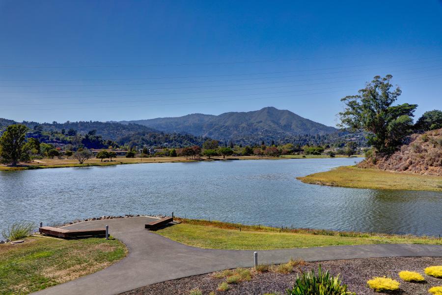 looking out over the water to Mt. Tam